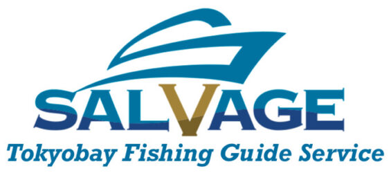 Salvage Guide Service